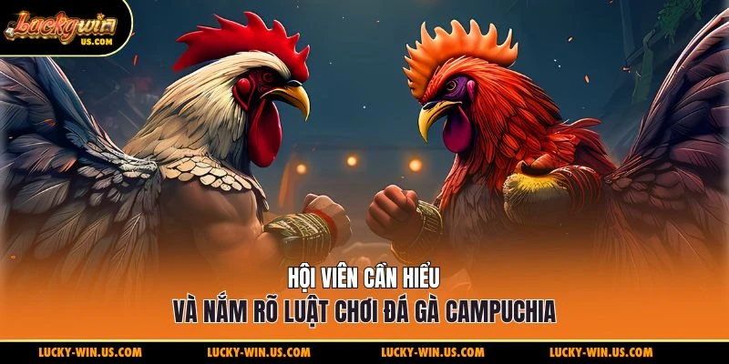 Hội viên cần hiểu và nắm rõ luật chơi đá gà Campuchia