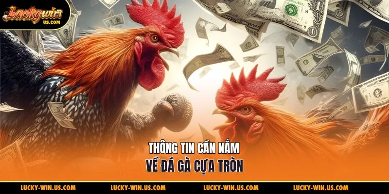 Thông tin cần nắm về đá gà cựa tròn
