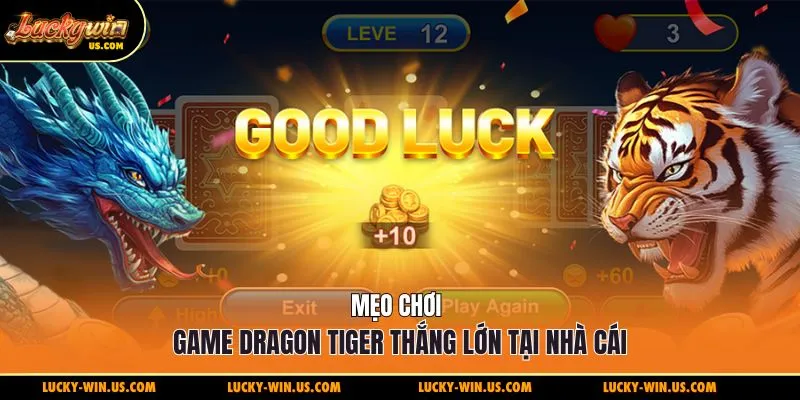 Mẹo chơi game dragon tiger thắng lớn tại nhà cái